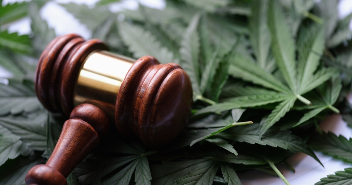 A Leon circuit judge has ordered Florida to update pot petition numbers
