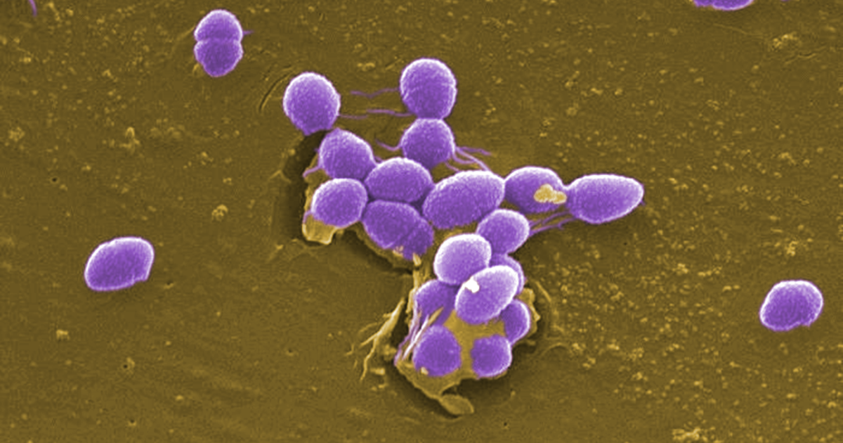 Lee County health officials warn of intestinal bacteria in the water at Lynn Hall Memorial Beach