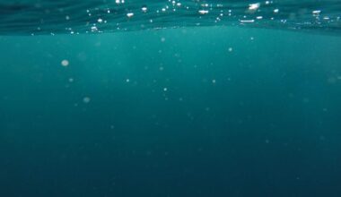 Entire Burnt Store, Tuckers Point areas under boil water notice starting at 9 a.m. Wednesday