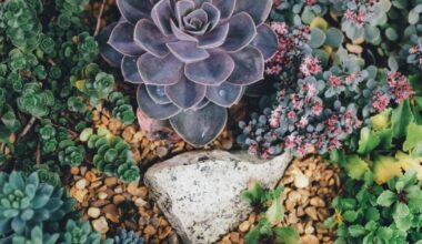 Charlotte County workshops set on succulent, vegetable gardening