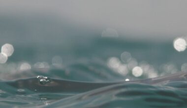 Watering now one-day-a-week through May in unincorporated Lee