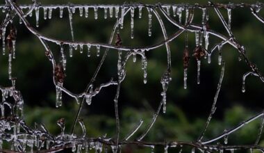 Blast of winter weather hitting Midwest, East Coast and could bring snow to Florida
