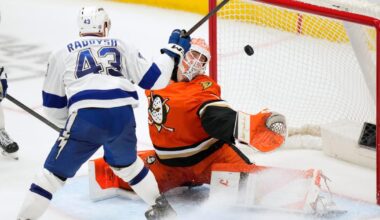 Ducks rally before falling to Tampa Bay Lightning in overtime