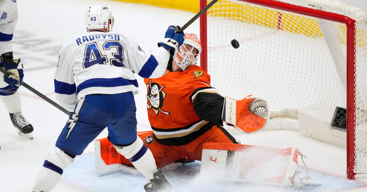 Ducks rally before falling to Tampa Bay Lightning in overtime
