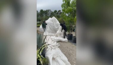 Southwest Florida prepares for freezing temperatures overnight