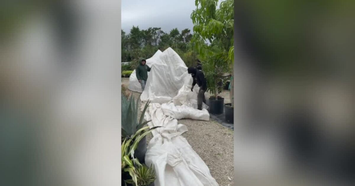 Southwest Florida prepares for freezing temperatures overnight