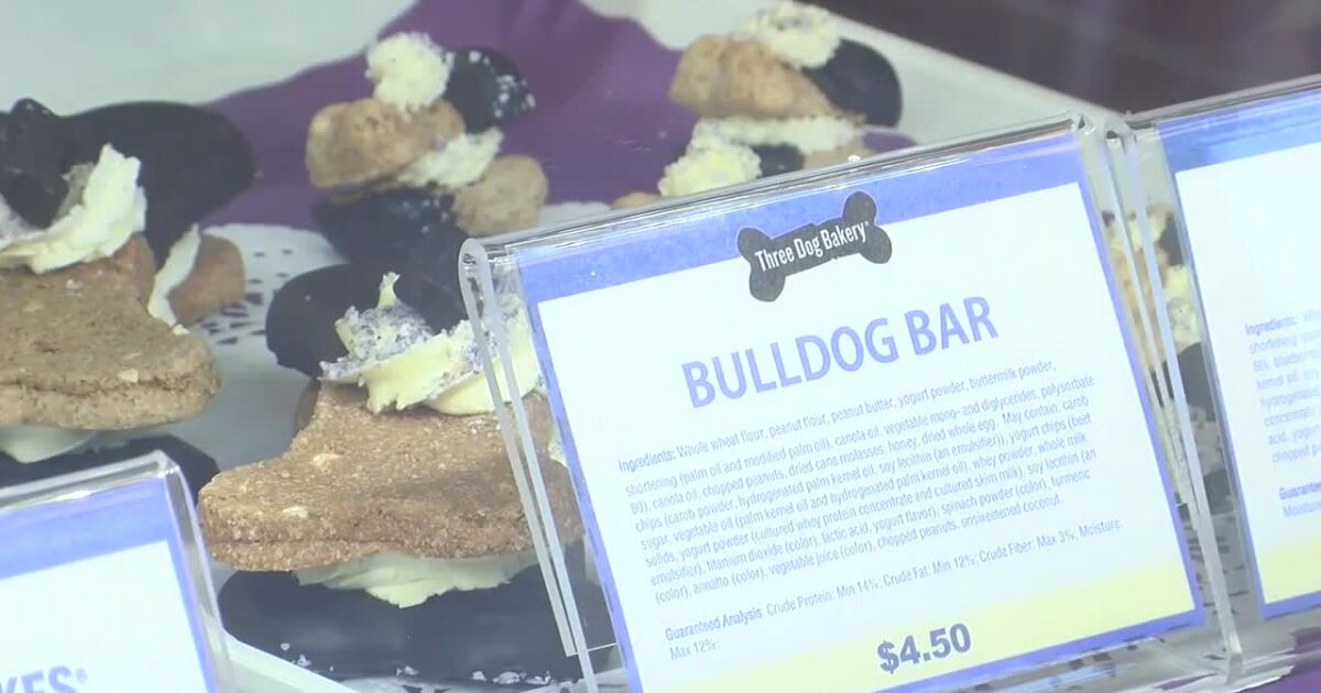 Three Dog Bakery celebrating grand opening this weekend in Tallahassee