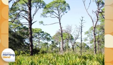 Boyd Hill Nature Preserve