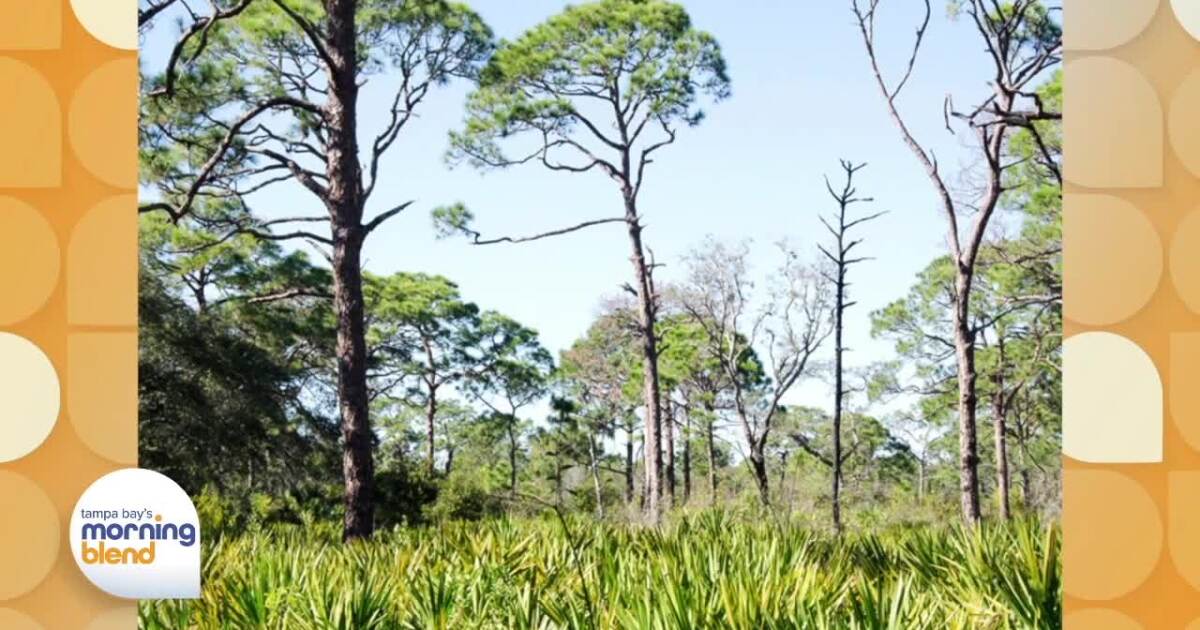 Boyd Hill Nature Preserve