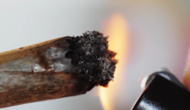 Florida Senate advances narrower public marijuana smoking ban