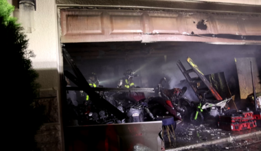 2 dogs found dead in Riverview house fire: HCFR