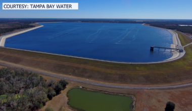 Drought restrictions ordered for Bay Area by SWFWMD with water supplies down by 25%