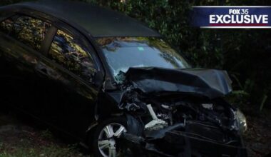 Deputies: 'Sorry' carjacking suspect stole SUV to go see grandmother, crashed during chase