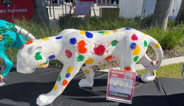 Florida Panthers enlist stars for unique cancer fundraiser