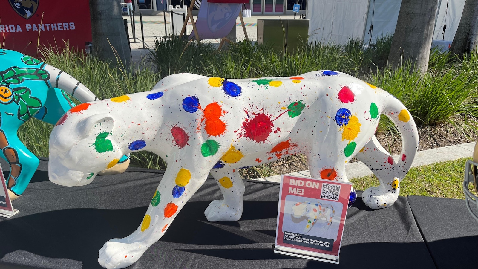 Florida Panthers enlist stars for unique cancer fundraiser