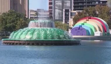 Orlando swan advocates raise concerns over Lake Eola conditions after bird deaths