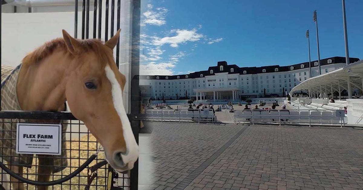 The 'Ritz' for horses: World Equestrian Center keeps animals comfortable during Florida cold snap