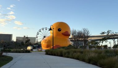 What has been dubbed the world’s largest rubber duck is spending the next two weeks at Clearwater’s Coachman Park. (Spectrum News)