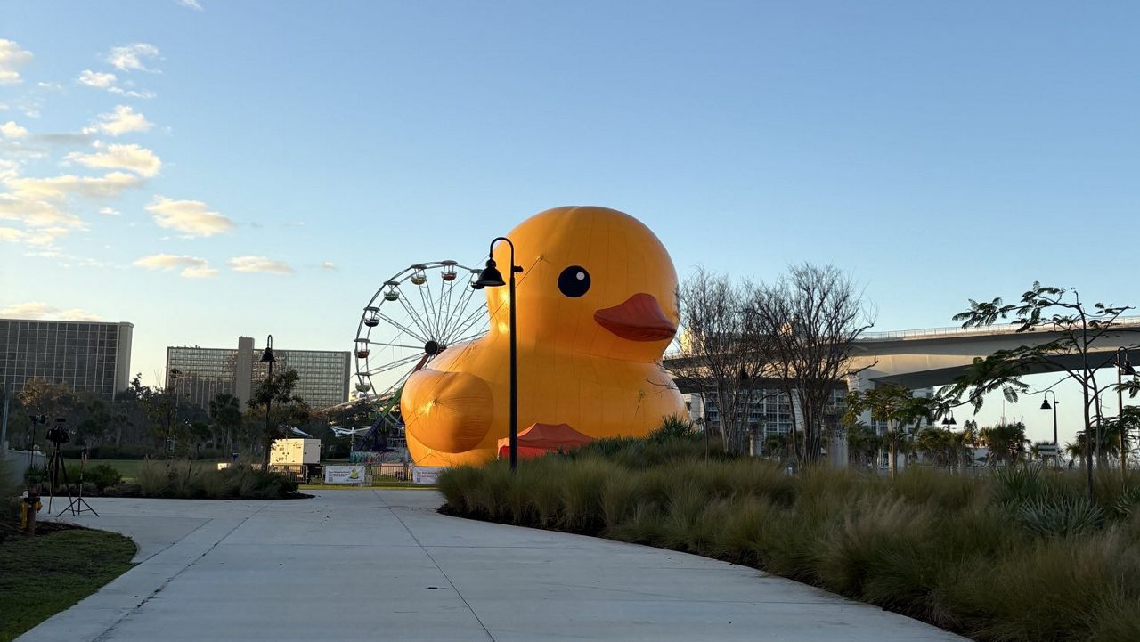 What has been dubbed the world’s largest rubber duck is spending the next two weeks at Clearwater’s Coachman Park. (Spectrum News)