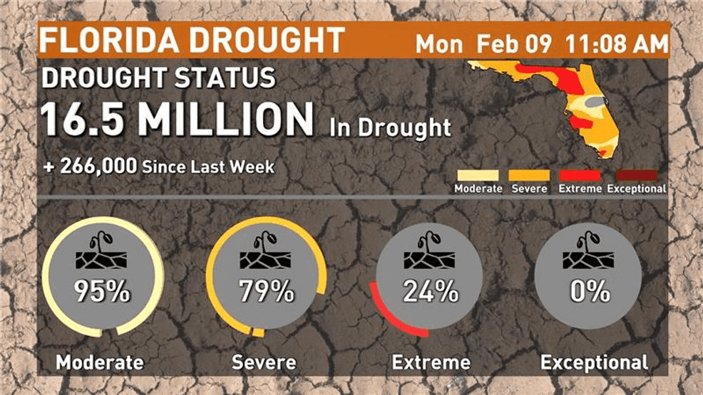 February 10, 2026 - 95% of Florida is under a moderate drought. (WPEC){p}{/p}