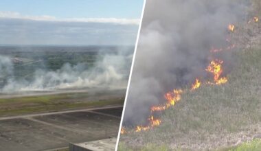 2 grass fires burning in South Florida amid dry conditions – NBC 6 South Florida