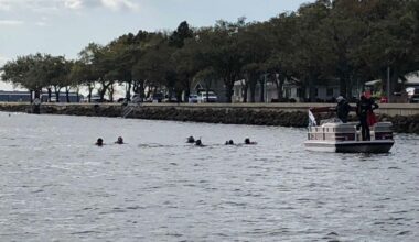 Now that the Gasparilla Pirate Fest is over, workers and volunteers on land and in the water are spending time cleaning up thousands of strings of beads handed, or tossed, out during Saturday's Parade of Pirates. (File Photo)