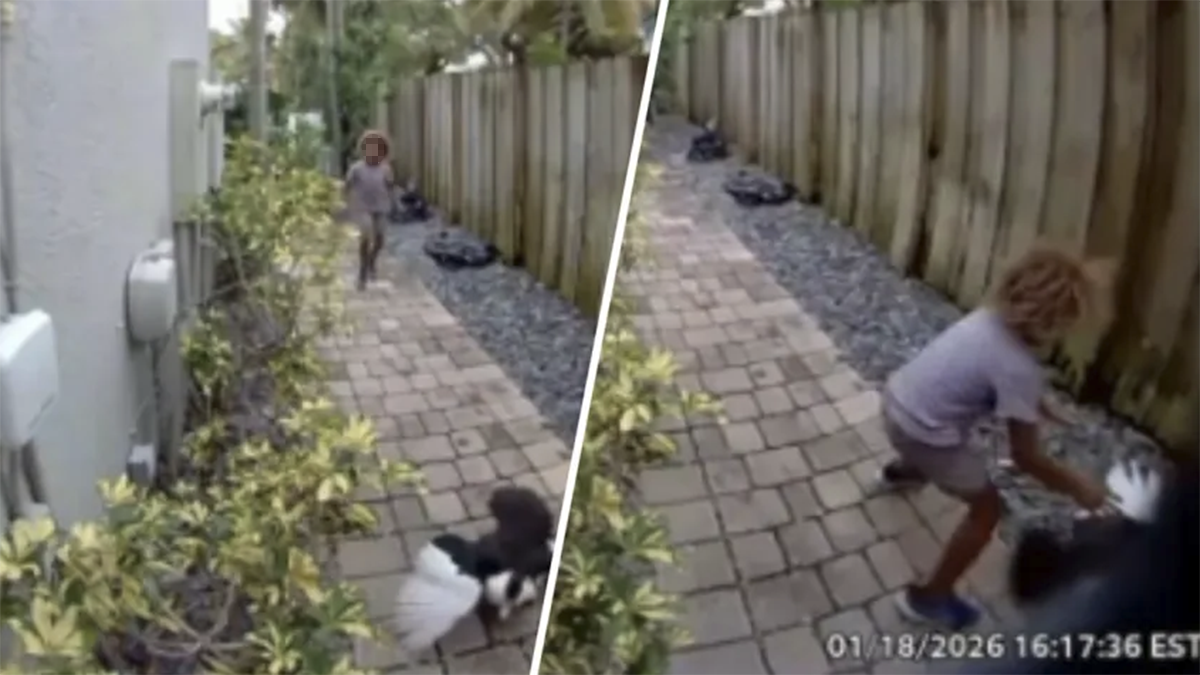 Police ID child who was caught on camera killing duck in Fort Lauderdale – NBC 6 South Florida