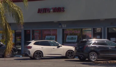 At least 2 arrested, several on the loose following fraud allegations at Hialeah tag agency - WSVN 7News | Miami News, Weather, Sports