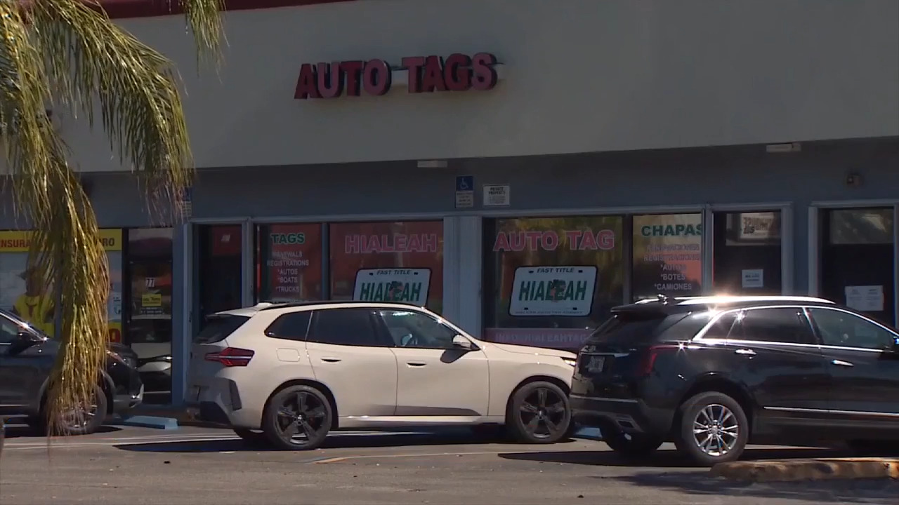 At least 2 arrested, several on the loose following fraud allegations at Hialeah tag agency - WSVN 7News | Miami News, Weather, Sports