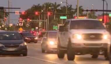 Woman allegedly requests burger, fries after being accused of stolen car chase, DUI in Fort Myers - WSVN 7News | Miami News, Weather, Sports