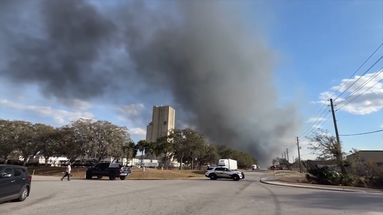 Multiple brush fires break out across Central Florida - WSVN 7News | Miami News, Weather, Sports
