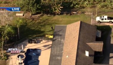 1 hospitalized after dog bite to hand in SW Miami-Dade - WSVN 7News | Miami News, Weather, Sports