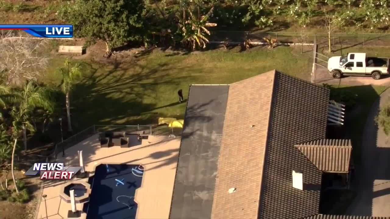 1 hospitalized after dog bite to hand in SW Miami-Dade - WSVN 7News | Miami News, Weather, Sports