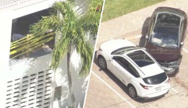 Witnesses – NBC 6 South Florida