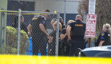 Man charged with murder after woman’s body found in Fort Lauderdale neighborhood – NBC 6 South Florida