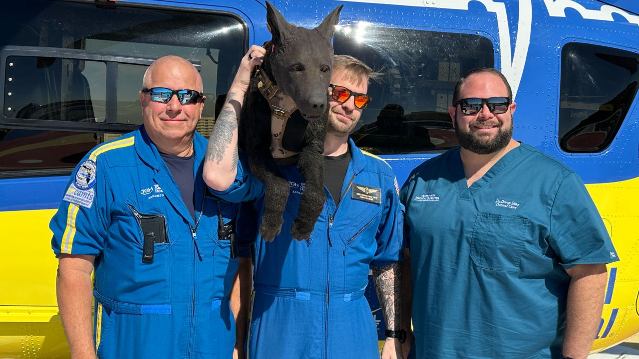 TGH is the first in the state, and the fourth in the nation, to do this with its Aeromed helicopters and flight crews. (Spectrum News/Roger Johnson)