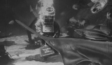 Friday Flashback to Marineland Florida – Orlando Sentinel