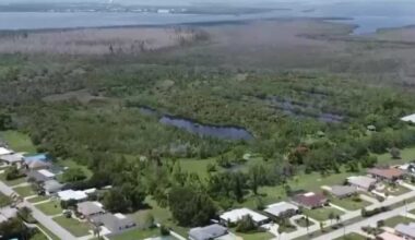 Cape Coral residents relieved as Redfish Pointe rezoning request withdrawn