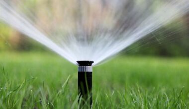 New water restrictions in Tampa are imposing significant new limits on homeowners associations' ability to enforce penalties on residents for any conditions that would require water use to fix. (File Photo)