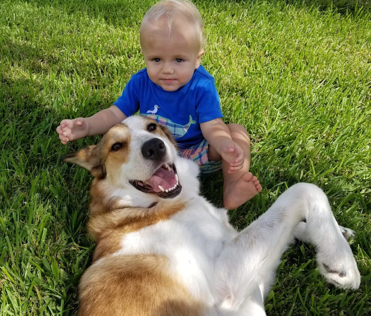 Yahoo lifestyle home