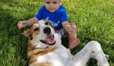 Yahoo lifestyle home