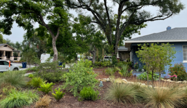 Tampa Honors Water-Wise Landscapes, Launches New Florida-Friendly Landscaping Program