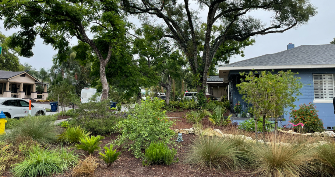 Tampa Honors Water-Wise Landscapes, Launches New Florida-Friendly Landscaping Program
