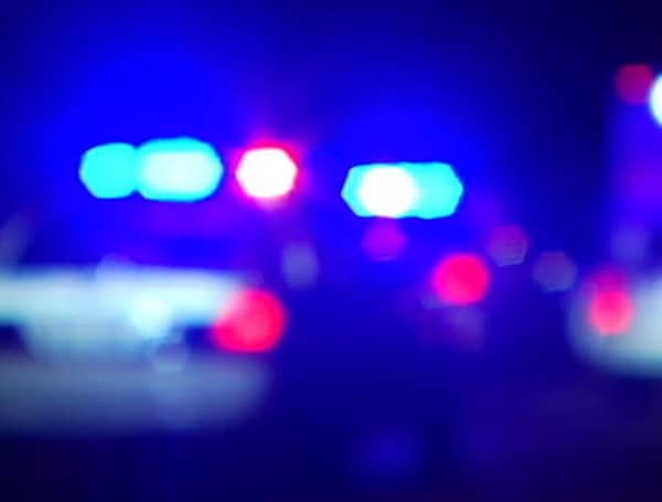 Police Lights (File)