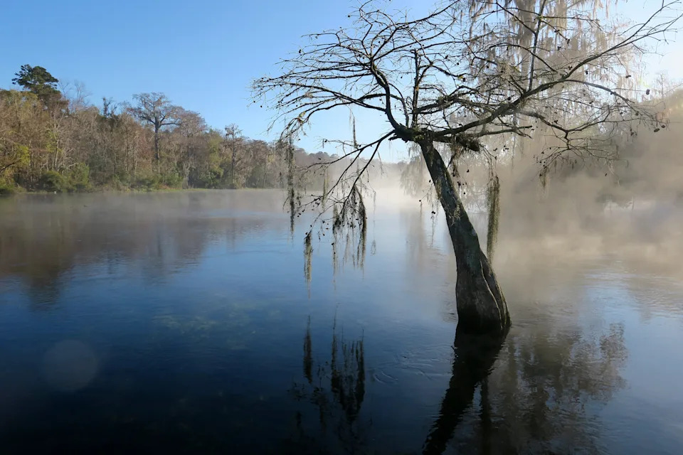 Wakulla Springs is like an old friend for Doug Alderson.
