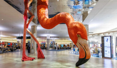 Tampa Airport Announces Divisive New Dress Code Rule Banning This Popular Travel Outfit