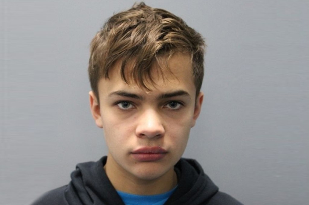 Mugshot of a young man with light brown hair, gray eyes, and slight facial abrasions.