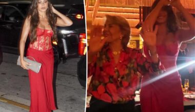 Sofia Vergara rocks plunging red dress in Miami for dinner turned family fiesta