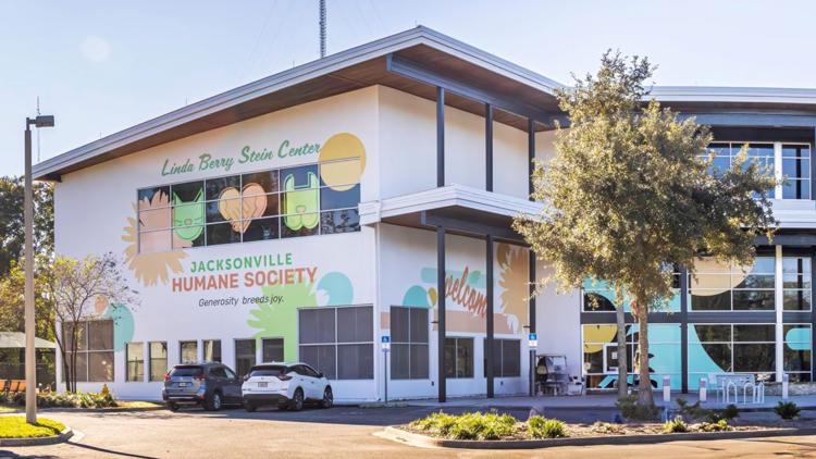 Yahoo lifestyle home