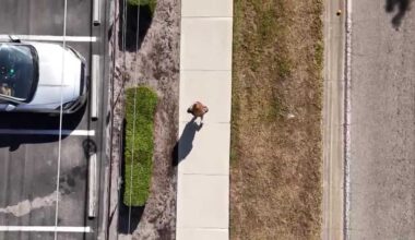 Sidewalks are coming to Southwest Florida — but will they be on your block?